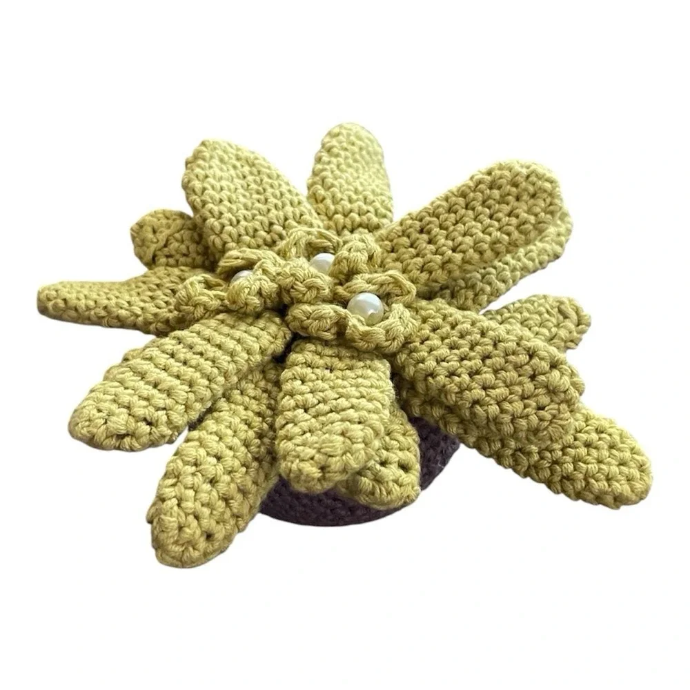 Handmade Crochet Cactus in Pot‎ Succulent with White Faux Pearls Home Decor